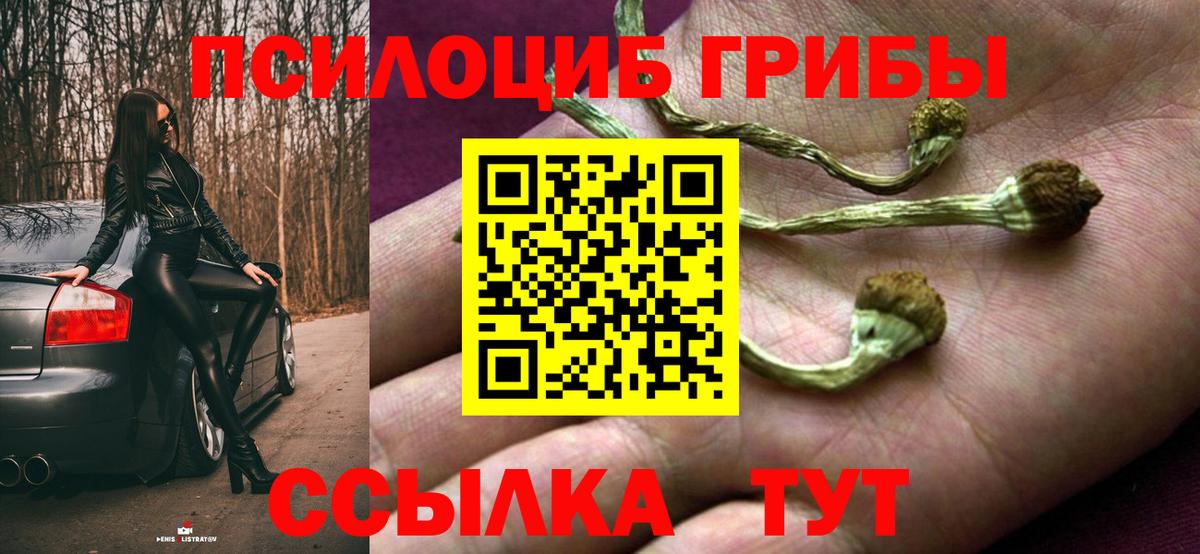 Псилоцибиновые грибы мицелий  Вход с VPN  Углич  Галлюциногенные грибы Cubensis 