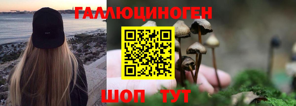 Галлюциногенные грибы мухоморы Углич